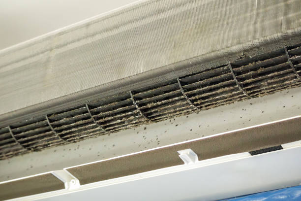 Best Affordable Duct Cleaning Services  in Urbandale, IA